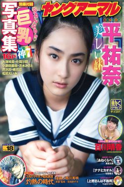 黄页100网